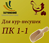 ПК 1-1, Гатч. ККЗ