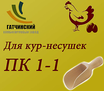 ПК 1-1, Гатч. ККЗ