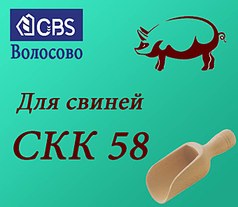 СКК 58 (CBS Волосово)